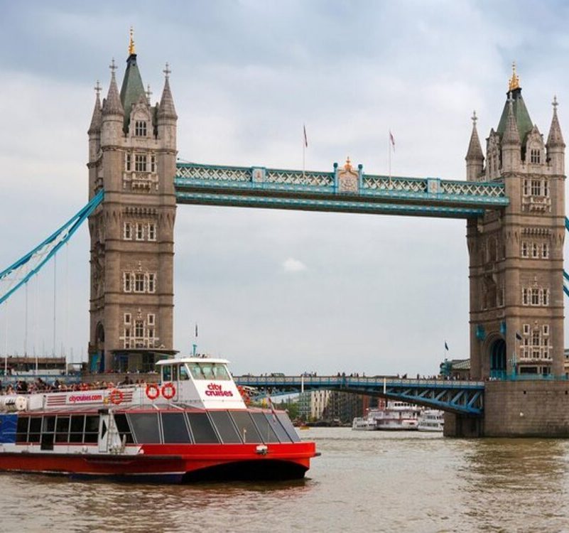 Private London 50+ Sights Taxi Tour & Thames River Cruise